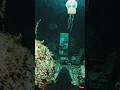 POV: Dark Secret of the Sunken House Revealed 💀 #OceanHorror #HiddenSecrets #ViralVideo #DeepWater
