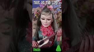 Stingray Island Vacation