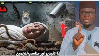 Wani Abunda Baku Sani Ba Gameda Mamata Dasuke Cikin...