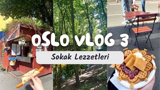 Oslo Vlog #3 ??| Oslo sokak lezzetlerini denedim