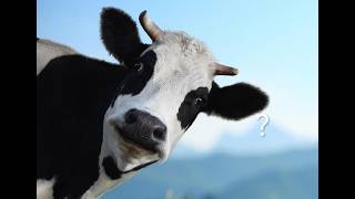 Becoming a Farmer is Easier (and Cheaper) Than You Might Think