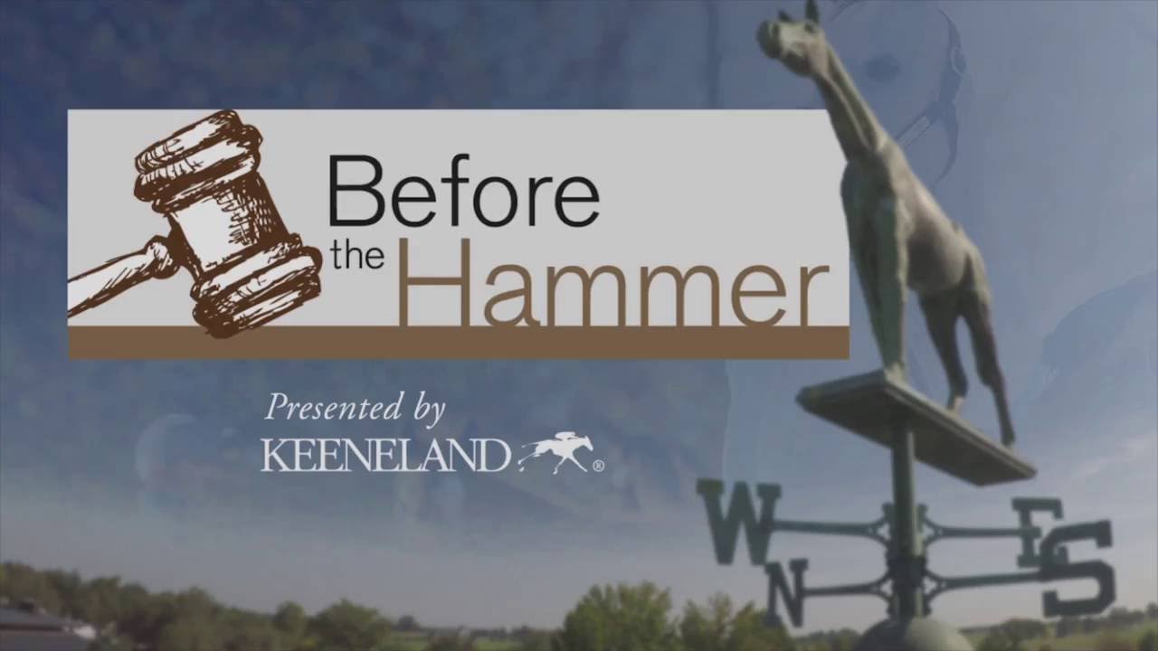Before the Hammer: Hunter Valley Farm