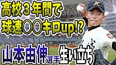 パリーグ防御率１位 山本由伸投手 オリックス ストレートが凄過ぎる ブルペン投球 Youtube