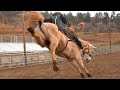 2020 Bronc Riding | Veater Ranch Ep 1