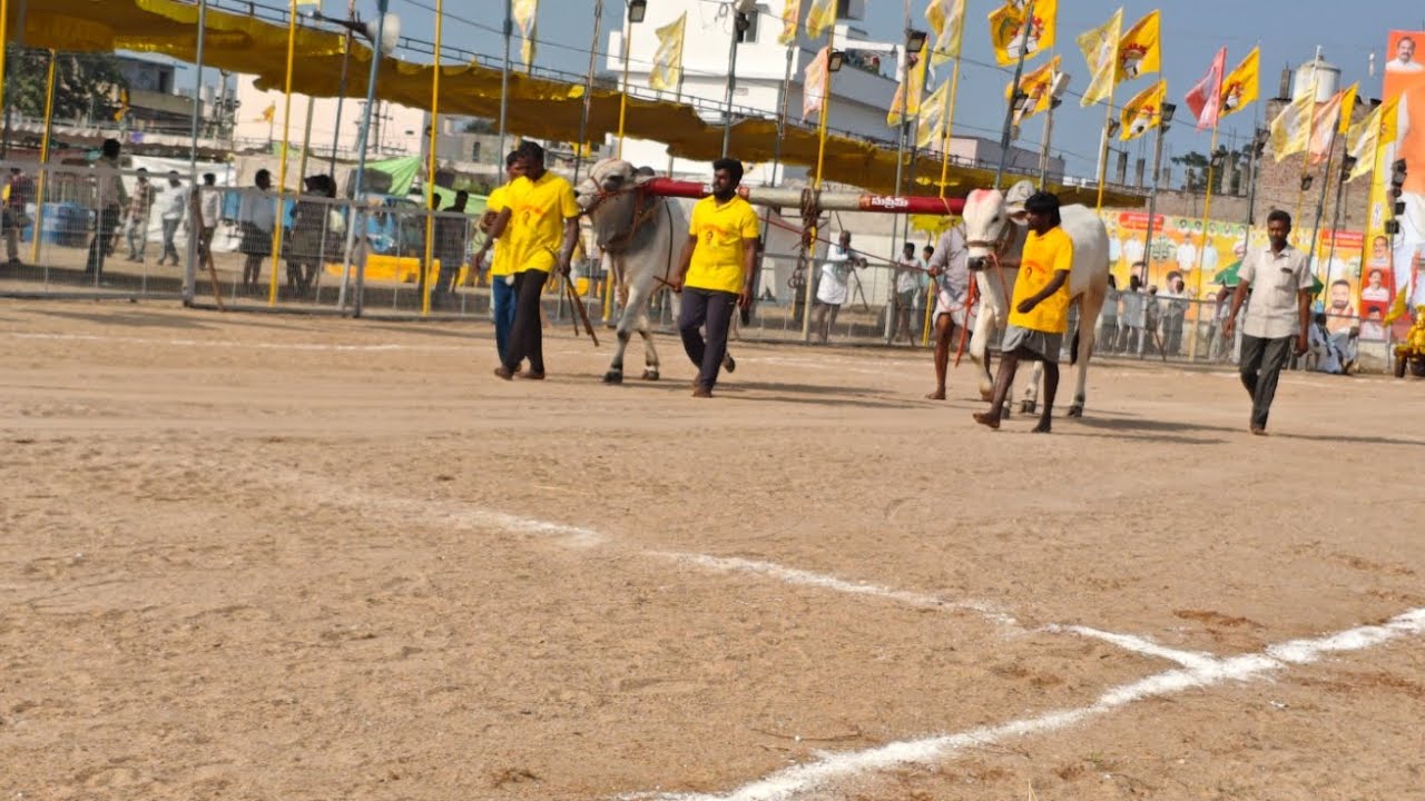 చిలకలూరిపేట 2పళ్ళు విభాగంలో 15వ జత