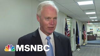 ER Doc: Everything Ron Johnson Says About Vaccines Is Wrong | The 11th Hour | MSNBC