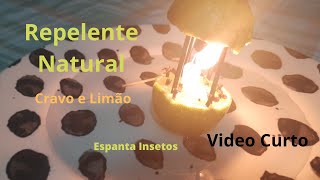 Repelente Natural com Cravo e Limão (Video curto)