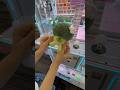 珍しい景品を取ろうとしたら… #クレーンゲーム #ufoキャッチャー #ぬいぐるみ #ゲームセンター