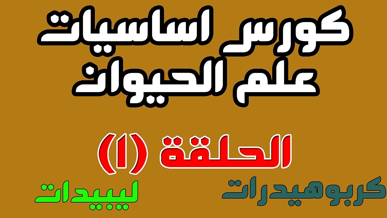 كورس شامل لتعليم اساسيات علم الحيوان للمبتدئين | مما يتكون جسمك الحلقة 1