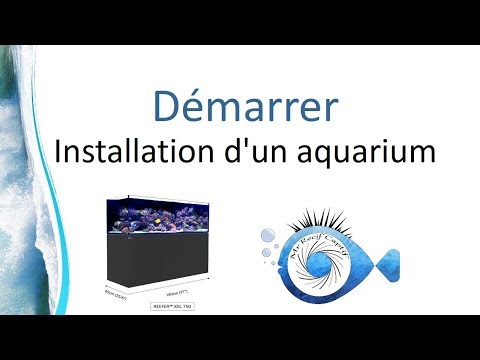 Vidéo: Comment mettre en place un aquarium marin récif salin