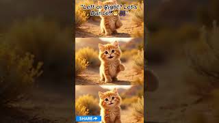 Cute Orange Kitten Dancing Left Right 😻🔥#kitten