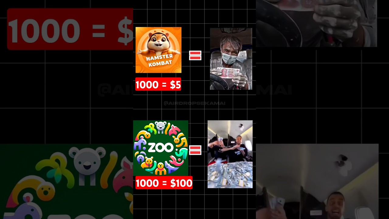 Zoo Airdrop Earn $500 USDT | Listing Date | Eligibility Criteria | Zoo Airdrop New Update 