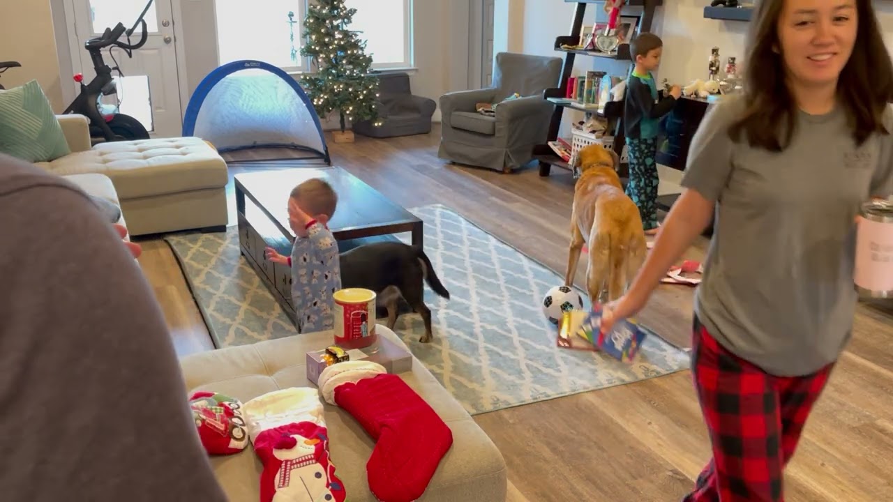 Barger Christmas 2020