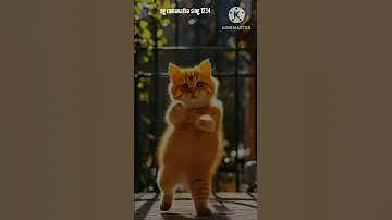 Ak Hoogay Tum Cat Fani Dance Video Youtube Short Video 