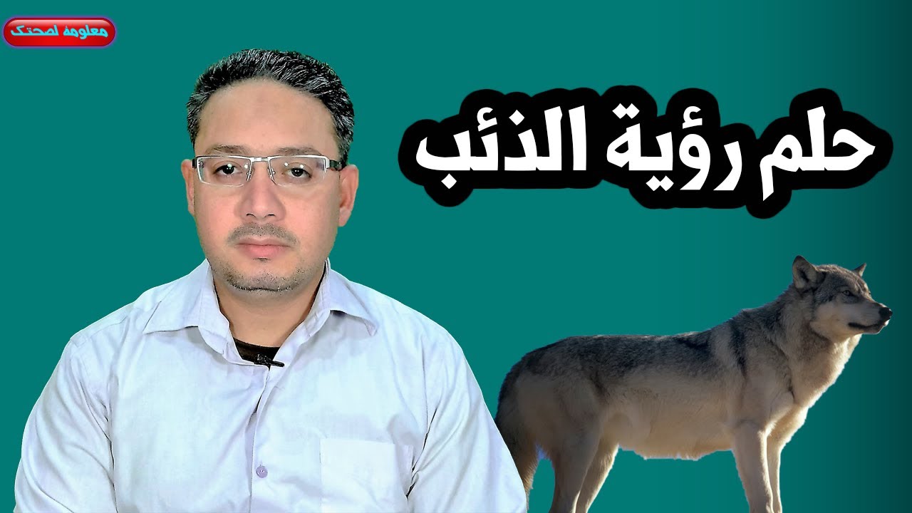 ماهو تفسير حلم رؤية الذئب وهجوم الذئب للعزباء والرجل والحامل والذئب الاسود والذئب القطبى فى المنام ؟
