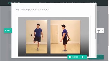 Exercise Technique Coaching for Online Clients on PT Distinction