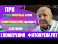 Гломерулин - гломерулонефрит. Отеки почечные, белок и кровь в моче. Противовоспалительное действие