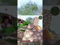 El mejor clip de todo KARMALAND FAILS fails