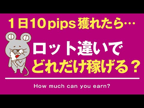 【FX】１日10pips獲れたらロットの違いでこれだけ利益が変わる！