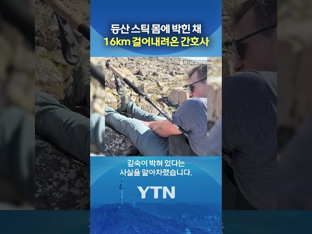 "정말 운이 좋았다" #shorts / YTN