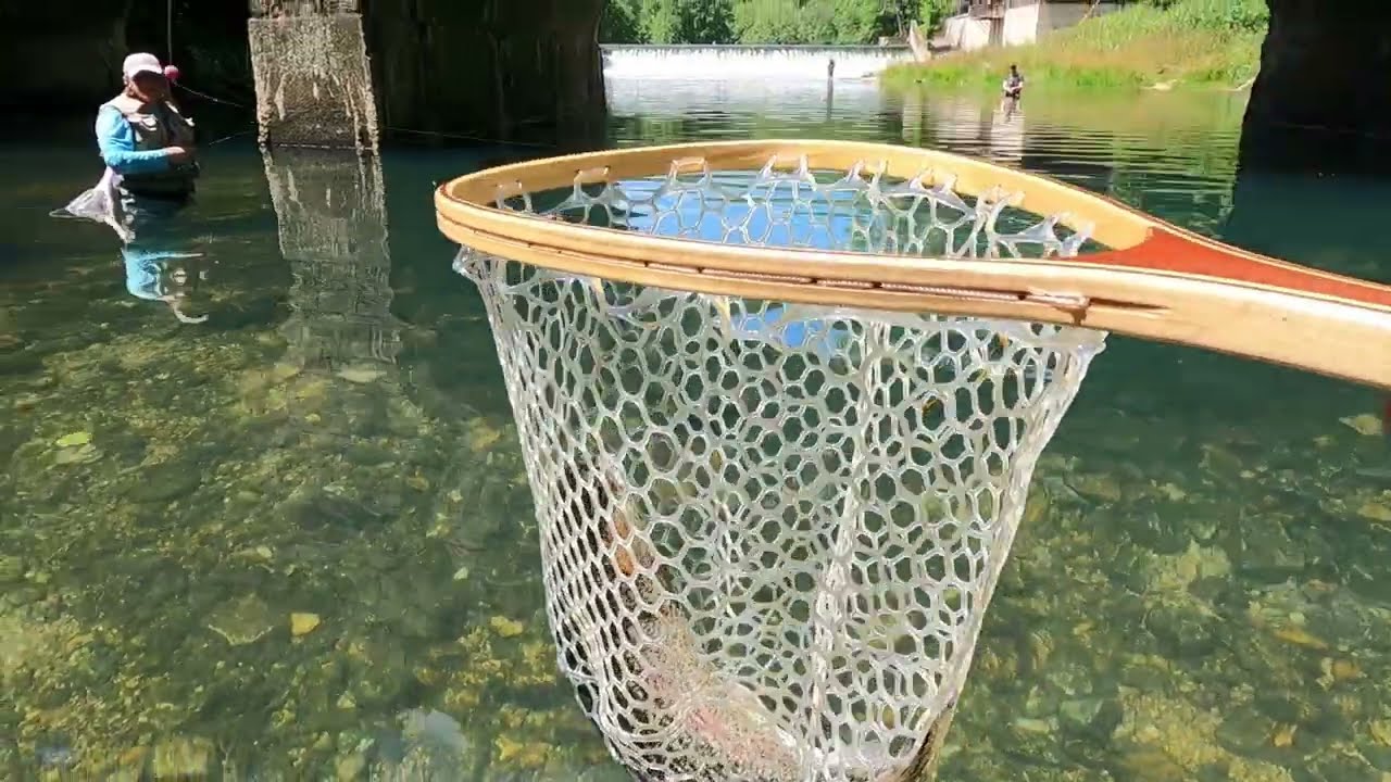 Trout Fishing at Bennett Spring