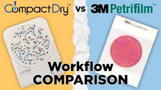 How to use Petrifilm™ vs CompactDry™ plate a Workflow Comparison Video