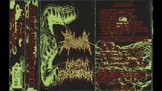 Malaria & Sarcoma Fermentation - [FULLSPLIT]