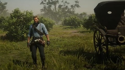 RDR2-Arthur Explore New Austin Prep Work-Camera Settings for Safer Driving and Why