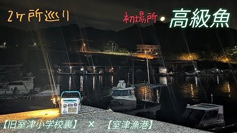 【365日釣り生活】77日目11月16日の龍野「旧室津小学校裏、室津漁港」釣行が最高だった日
