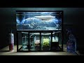 Aquarium model 10 - Mini Arowana Fish Tank/ Make Arowana Fish Tank