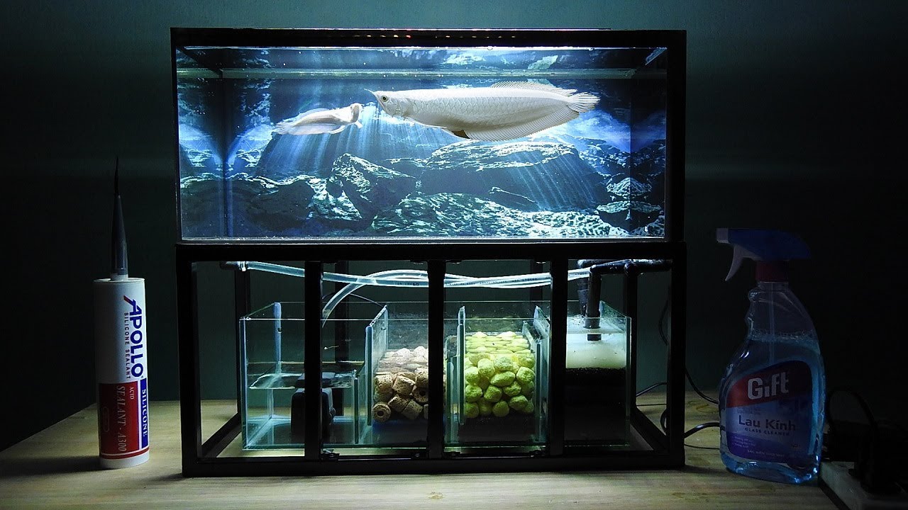 Aquarium model 10 Mini Arowana Fish Tank Make Arowana 