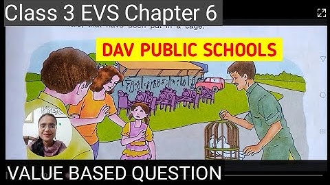 CHAPTER 6 VALUE BASED QUESTION | CLASS 3 EVS | DAV PUBLIC SCHOOLS