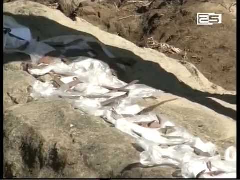 უნიკალური აღმოჩენა სოოფელ სიმონეთში