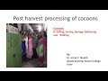Post-Harvest Processing of Cocoons