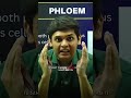 Motivation by Prashant bhaiya@ExpHub#motivation #youtubeshorts #shorts #viral #explore #students