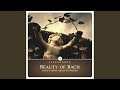 Prelude And Fugue No 1 In C Major BWV 846 Book 1 The Well Tempered Clavier mp3