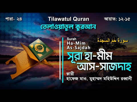 সূরা হা-মীম আস-সাজদাহ || سورة حٰمٓ السجدة || Ha-Mim-As-Sajdah || আয়াত ১২-১৫