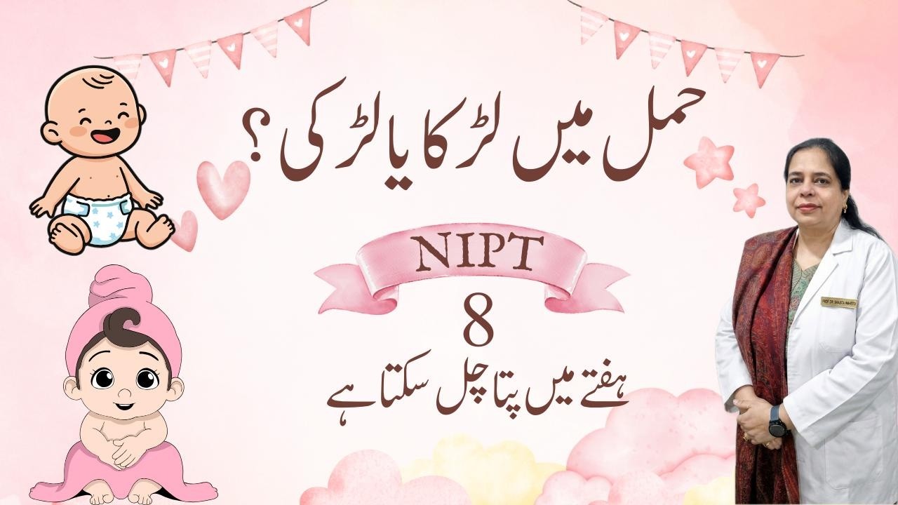 Early Pregnancy Gender Test NIPT Explained | Boy or Girl?