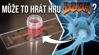 Mohou Krysí Neurony Hrát Hru DOOM ?!