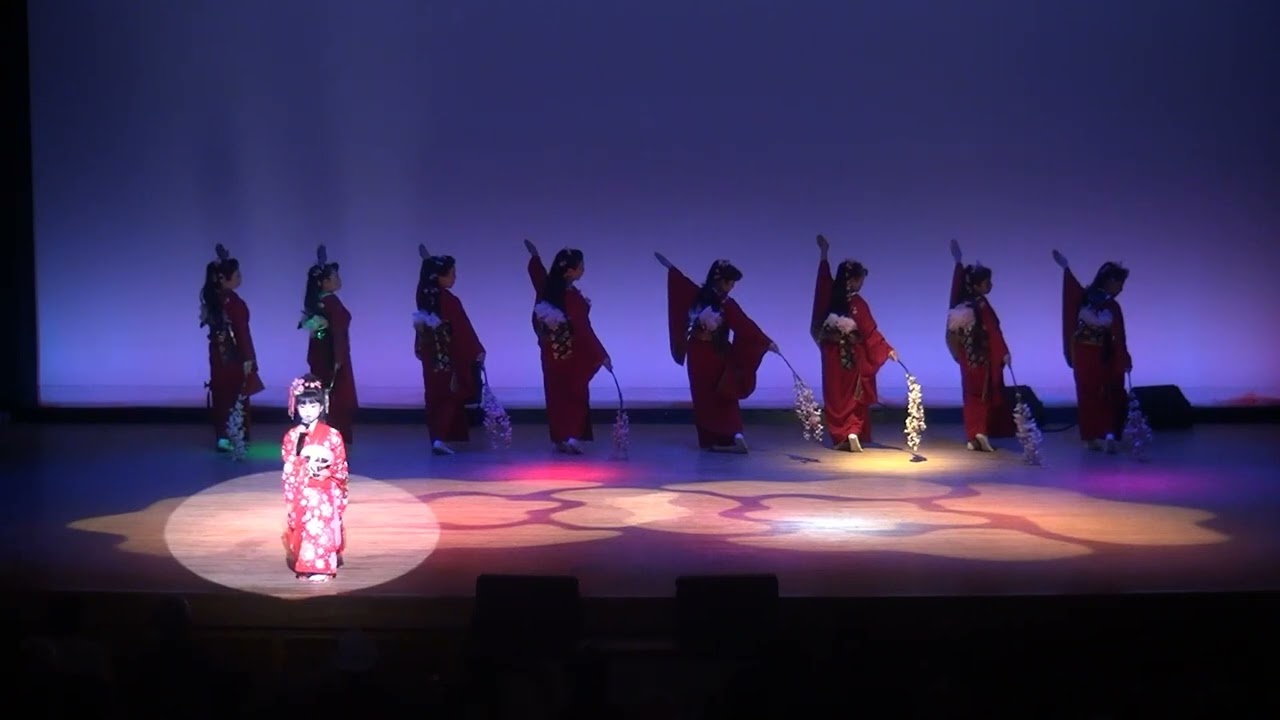 夜桜お七（小学１年、6歳）#坂本冬美#演歌#小学生#オープニング