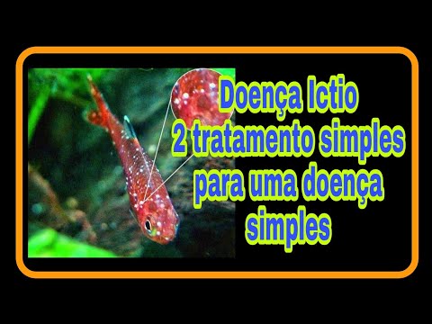 Tratamento de ICTIO Simples e fácil peixe doente manchas ou pontos brancos