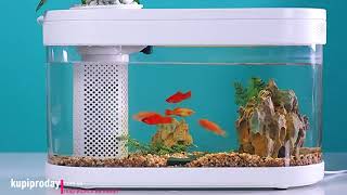 Настольный мини аквариум: xiaomi eco fish tank, для дома или офиса