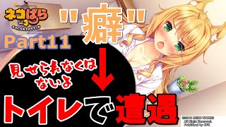 【ネコぱら Vol.3】いつもの癖→トイレで遭遇。 Part11【実況】