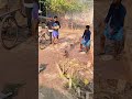 work shortcut technique