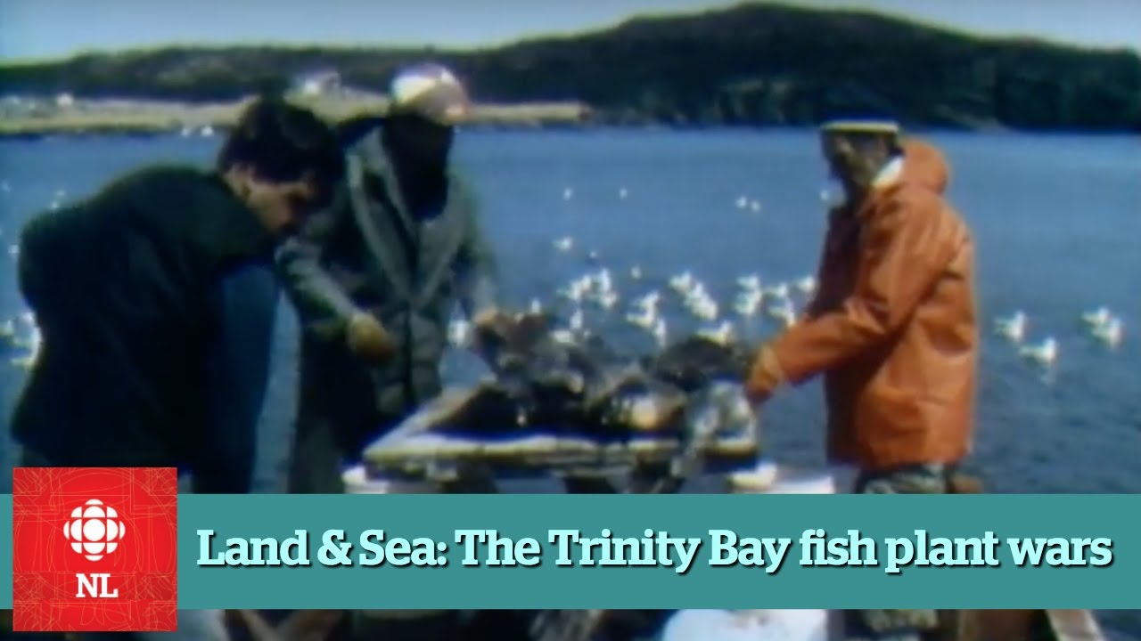 Land & Sea: The fish plant wars of Trinity Bay - Full Episode - YouTube
