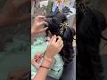 Curly Hairstyle for Party #shorts #ytshorts #viralvideo #trending #jyoti_makeover1213 #partymakeup