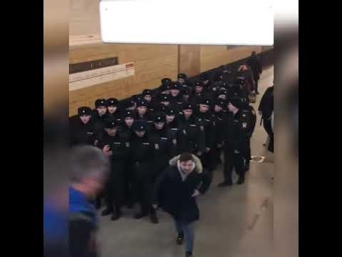 ЧЕРНЫЙ ДЕЛЬФИН 🐬 - YouTube