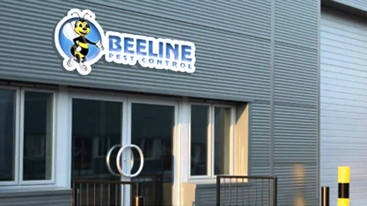 Pest Control Salt Lake City video YouTube