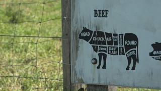 Trump administration considering changes to meat processing. What does that mean for Ohio farmers?