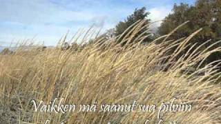 Suvi Teräsniska (2010): En saanut sua pilviin +Lyrics chords